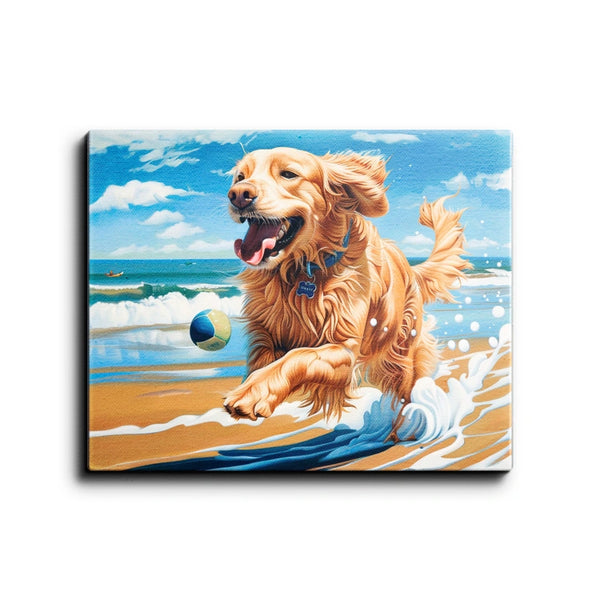 Dogs - Golden Retriever Chase Ball
